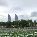 南普陀寺 - 厦门市旅游 缩略图 5