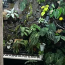 有植者植物空间 - 常州市旅游 缩略图 2