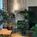 有植者植物空间 - 常州市旅游 缩略图 7