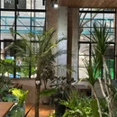 有植者植物空间 - 常州市旅游 缩略图 6