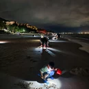 北海银滩皇冠假日酒店 - 北海市旅游 缩略图 7