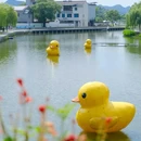 婺城区逸境·宋酒店(古子城步行街店) - 金华市旅游 缩略图 3
