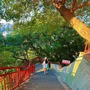 半山崖线 - 重庆市旅游 缩略图 4