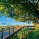 半山崖线 - 重庆市旅游 缩略图 5