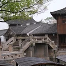 钱塘江 - 绍兴市旅游 缩略图 9