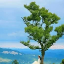 水田湾子苗寨 - 昭通市旅游 缩略图 1