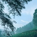杭州旅游 缩略图 6