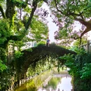 双溪村 - 杭州市旅游 缩略图 1