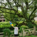 双溪村 - 杭州市旅游 缩略图 7