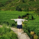 雅安名山蒙顶山茶 - 成都市旅游 缩略图 7