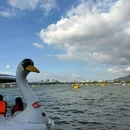 玄武湖景区 - 南京市旅游 缩略图 4