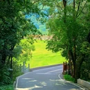 白云山 - 广州市旅游 缩略图 2