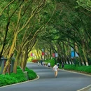 白云山 - 广州市旅游 缩略图 1