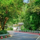 白云山 - 广州市旅游 缩略图 7