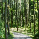 剑门关风景区 - 广元市旅游 缩略图 7