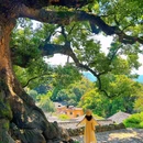 杨家堂村 - 丽水市旅游 缩略图 2