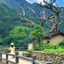 杨家堂村 - 丽水市旅游 缩略图 4