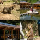 康定情歌风景区 - 甘孜藏族自治州旅游 缩略图 8