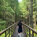 青山湖水上森林 - 杭州旅游 缩略图 7