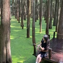 青山湖水上森林 - 杭州旅游 缩略图 8