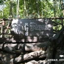 剑门关风景区 - 广元市旅游 缩略图 8