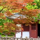 柳城畲族镇 - 金华市旅游 缩略图 7