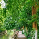 德寿宫遗址 - 杭州市旅游 缩略图 8
