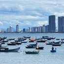 越南岘港市Sơn Trà - 其他旅游 缩略图 4