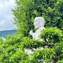 越南岘港市Sơn Trà - 其他旅游 缩略图 7