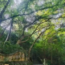 国清寺 - 台州市旅游 缩略图 4