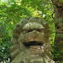 国清寺 - 台州市旅游 缩略图 3