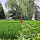 北京中华民族博物院-北园 - 北京旅游 缩略图 7