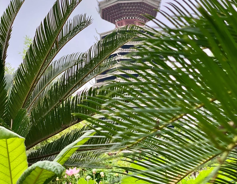 北京中华民族博物院-北园 - 北京旅游 1