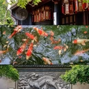 天一阁博物院 - 宁波市旅游 缩略图 3