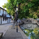 练塘古镇 - 上海市旅游 缩略图 8