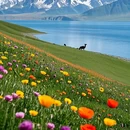 赛里木湖打卡地 - 博尔塔拉蒙古自治州旅游 缩略图 3