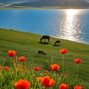 赛里木湖打卡地 - 博尔塔拉蒙古自治州旅游 缩略图 8