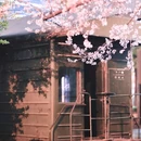 伴山伴水酒店 - 长沙市旅游 缩略图 4