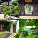 妙果寺 - 温州市旅游 缩略图 8