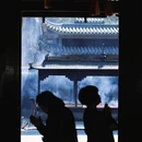 陶公洞 - 温州旅游 缩略图 5