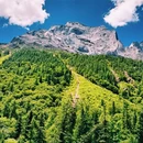 四姑娘山景区 - 阿坝藏族羌族自治州旅游 缩略图 4