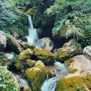 青城后山 - 成都市旅游 缩略图 7