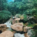 青城后山 - 成都市旅游 缩略图 9