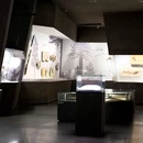 英良石材自然历史博物馆 - 泉州市旅游 缩略图 5