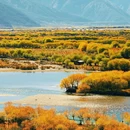 拉萨之窗 - 拉萨市旅游 缩略图 4