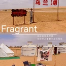 腾格里沙漠 - 阿拉善盟旅游 缩略图 4