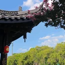 泰州稻河古街区 - 泰州市旅游 缩略图 2