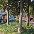 泰州稻河古街区 - 泰州市旅游 缩略图 8