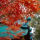 南京牛首山文化旅游区 - 南京市旅游 缩略图 5