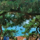 鲁迅公园 - 青岛市旅游 缩略图 2